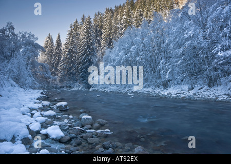 Crisp, winter scene of the flowing waters and pine trees over the River Arve, Chamonix, France Stock Photo