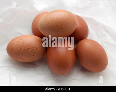 Free range eggs in white paper editorial food Stock Photo