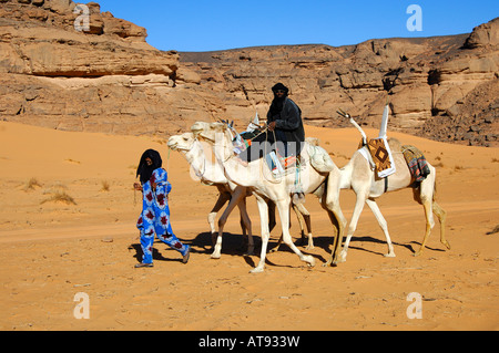 Tuareg with white Mehari riding dromedary Acacus Mountains Libya Stock Photo