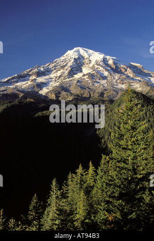 Mount Rainier framed by trees from Rucksecker Point Mount Rainier National Park Lewis County Pierce County WA Stock Photo