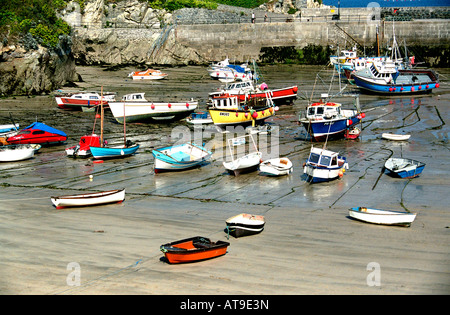 Low tide in Newquay harbour Cornwall England Stock Photo