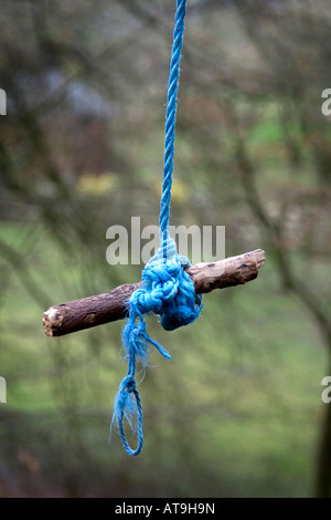 Rope swing from branch tree hi-res stock photography and images - Page 2 -  Alamy