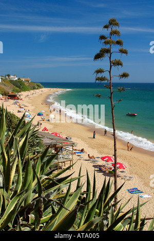Los Canos de Meca, Andalucia, Spain Stock Photo - Alamy