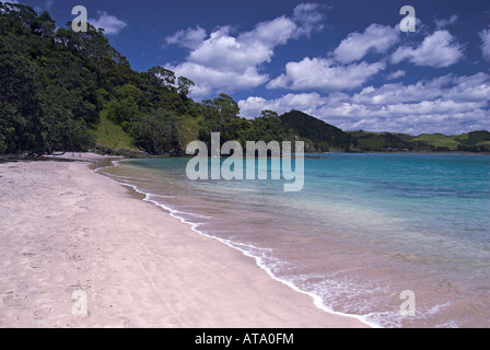 Whale Bay, Tutukaka Coast, New Zealand Stock Photo