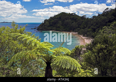 View of Whale Bay, Tutukaka Coast, New Zealand Stock Photo