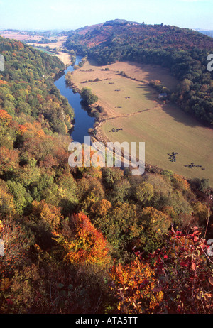 symonds yat herefordshire viewpoint autumn colours river wye england uk gb Stock Photo