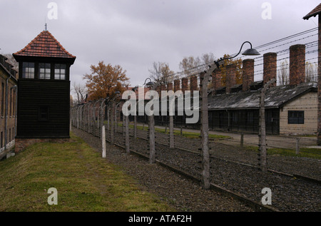 Death zone in the Auschwitz-Birkenau Former Nazi German Concentration Camp