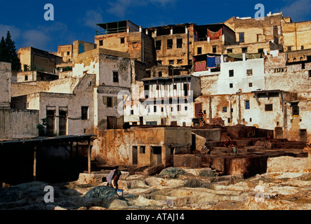 Moroccan, men, working, at work, Chouara Tannery, leather tannery,  tannery, Fes el-Bali, city of Fez, Fez, Morocco, Africa Stock Photo