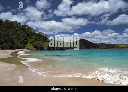 Whale Bay, Tutukaka Coast, New Zealand Stock Photo