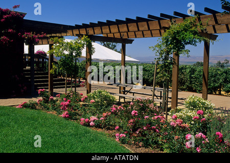 Paraiso Vineyards Tasting Room Salinas Valley Monterey County California Stock Photo