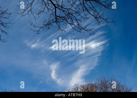 cirrus marestail cloud formations against a blue sky Stock Photo