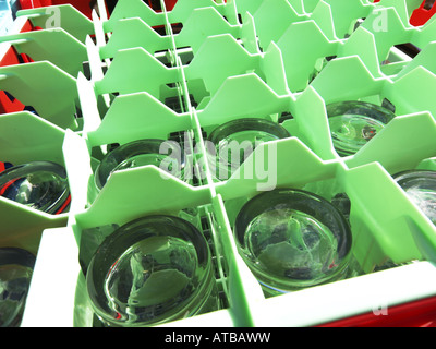 empty glasses in a box Stock Photo