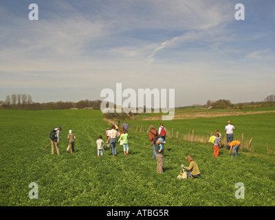 group of children and adults collecting herbs in springtime Stock Photo