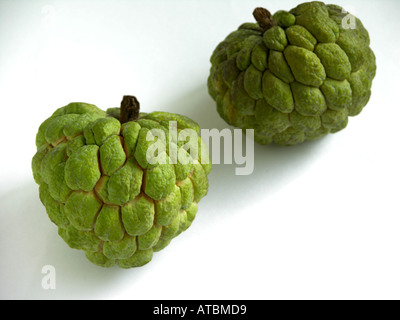 Fruits two green color Custard Apples food fruit on white background Stock Photo