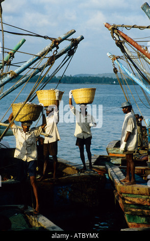 Unloading the catch of the day, Chapora harbour, Goa, India Stock Photo