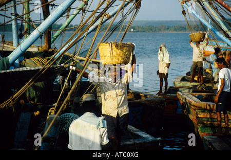 Unloading the catch of the day, Chapora harbour, Goa, India Stock Photo