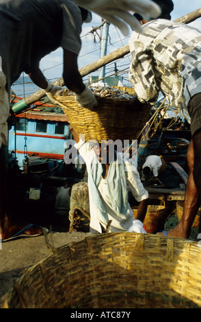 Unloading the catch of the day, Chapora harbour, Goa, India Stock Photo