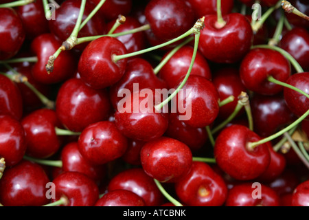 Cherry Red Cherries With Stems Closeup Fresh Juicy Fruit Diet Slim Cerise Rouge Fraiche Healthy Living Stock Photo Alamy