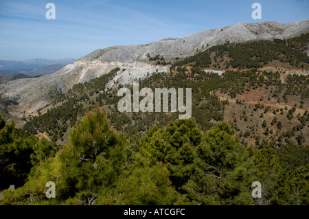 Spain Andalusia The Sierrania De Ronda On A376 Road Stock Photo
