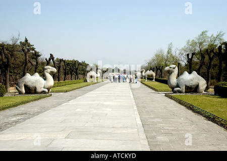Tourists walk between ancient animal statues carved from stone on each side of the Sacred Way which stretches 7 kilometres through the Ming Tombs Stock Photo