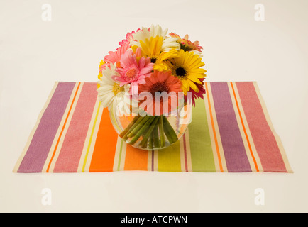 vase of Gerbera or african daisy Stock Photo