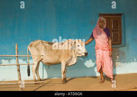 Indian Farmer Woman wearing a pink dress and holding a cow in front of a blue house Stock Photo