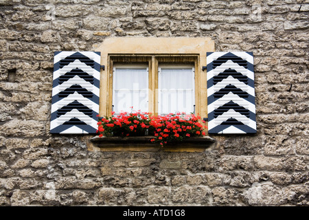Black and white shutters and window box with red flowers in medieval city wall Murten Switzerland Stock Photo