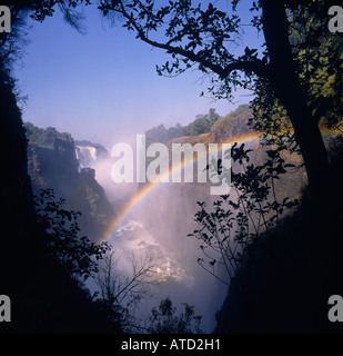 Main falls cliffs and gorge with rainbow in cloud of spray framed by trees at Victoria Falls in Matabeleland Province Zimbabwe Stock Photo