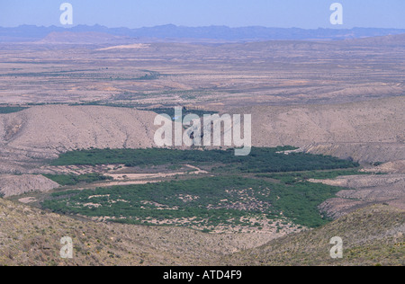 View of cottonwood trees following the course of Rio Conchos as it winds through the Chihuahua Desert near Ojinaga in Mexico Stock Photo