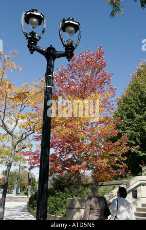 Milwaukee Wisconsin,Prospect Avenue,William O'Donnell Park,lamppost,fall colors,leaf changing,autumn,season,trees,weather,autumn,trees,visitors travel Stock Photo