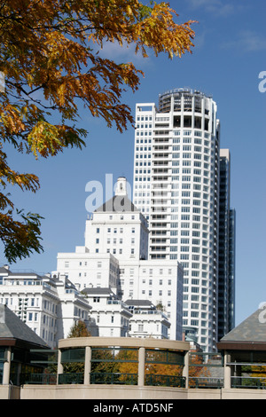 Milwaukee Wisconsin,William O'Donnell Park,fall colors,leaf changing,autumn,season,trees,weather,autumn,visitors travel traveling tour tourist tourism Stock Photo