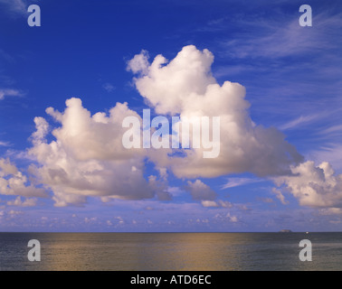 Fluffy white cumulus clouds drift above the ocean Stock Photo