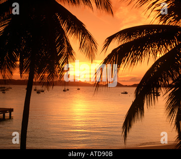 Palm trees and sailboats are silhouetted against a fiery sky at sunset in Caneel Bay St John US Virgin Islands Stock Photo