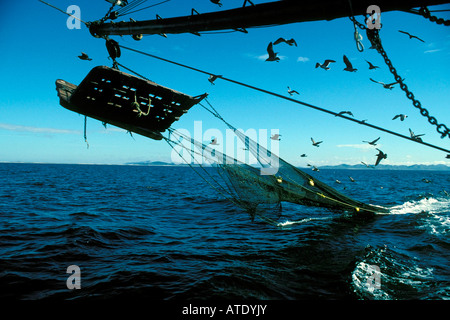 Commercial shrimp fishery, Mexico Stock Photo