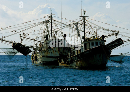 Shrimp fishing fleet Stock Photo