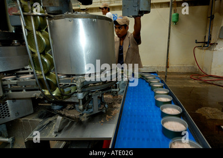 Sardine processing plant Mexico Stock Photo