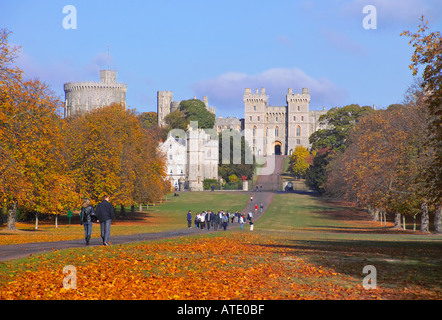 The Long Walk, Windsor Castle, Berkshire, England Stock Photo