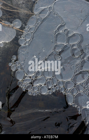 Ice formations in a brook Stock Photo
