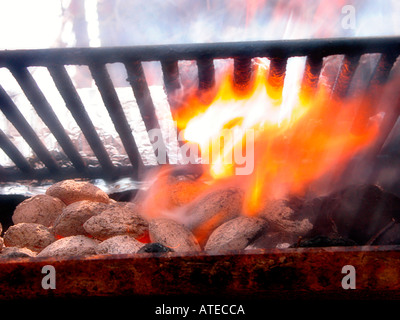 An out of control cookout Stock Photo