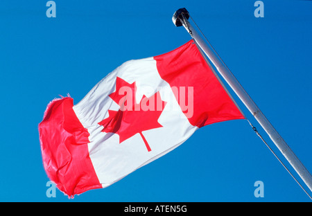 Flag of Canada / Flagge von Kanada Stock Photo