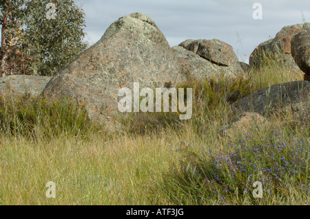 Granite Outcrop Eden Valley Farm Narrogin Western Australia September Stock Photo