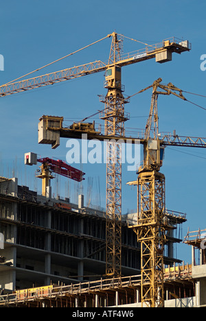 Cranes on a Construction Site Stock Photo