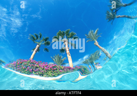 Palm trees seen from underwater in swimming pool blue water blue sky Stock Photo
