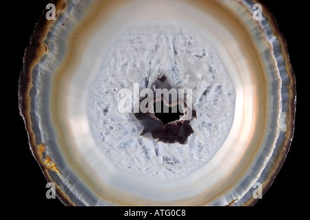 Slice of agate showing colourful banding Stock Photo
