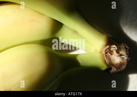 picture portrait of three bananas still on their stems not peeled Stock Photo