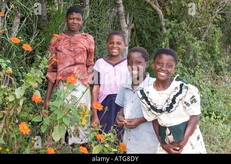 Four young girls pose for the camera in the Zambian bush Stock Photo