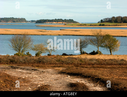 Poole Harbour from RSPB Arne Nature Reserve, Dorset, UK Stock Photo