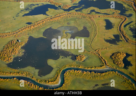 Rapa River delta in Rapa Valley, Sweden, Sarek National Park Stock ...