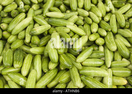 Tindora is Indian cucumber used in variety of dishes including curry at Indian grocery store Queens New York NYC Stock Photo