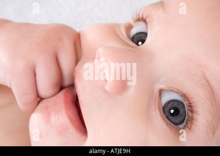 close up face of 6 month old baby sucking fingers Stock Photo